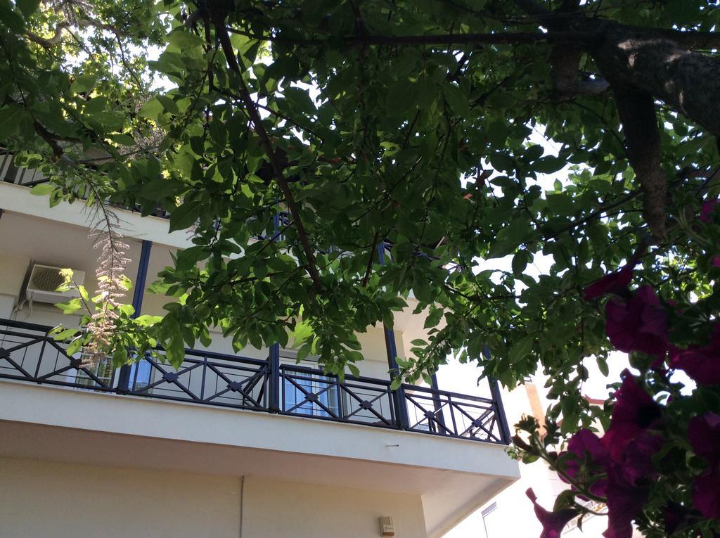 Morfeas Hotel Platamonas