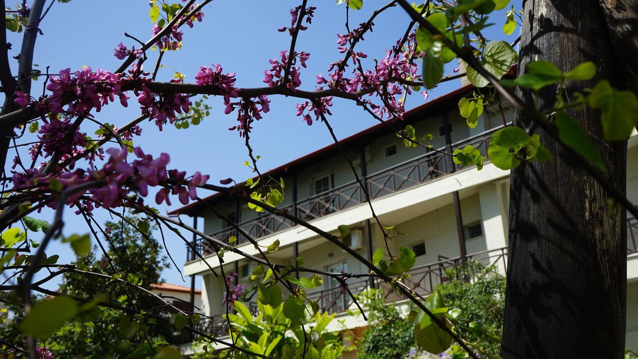 Morfeas Hotel Platamonas
